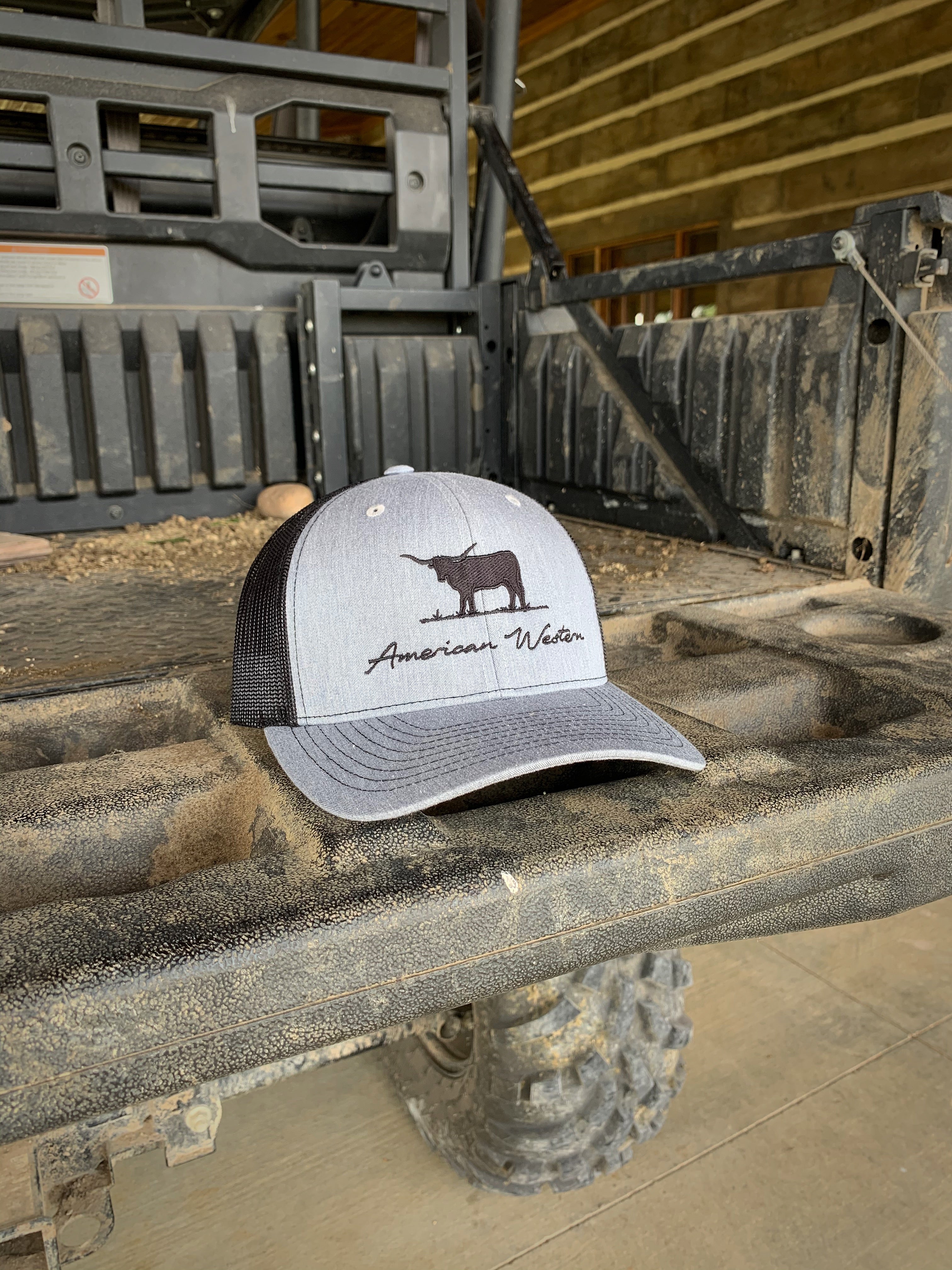 Heather Black Longhorn